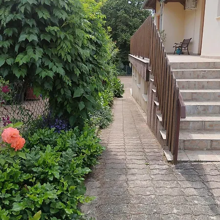 Rosa Проживание в семье Залакарош